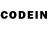 Псилоцибиновые грибы GOLDEN TEACHER 3. Herbatint