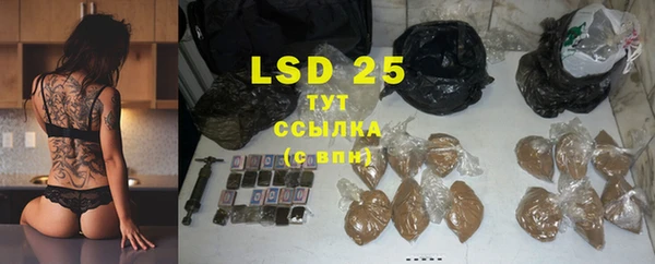 шишки Кодинск