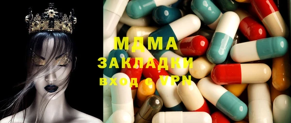 шишки Кодинск