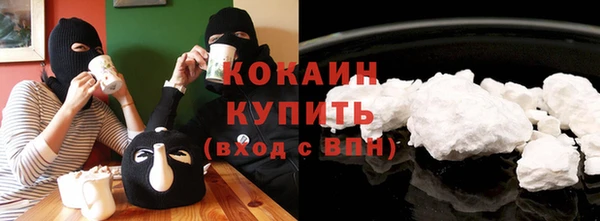 шишки Кодинск