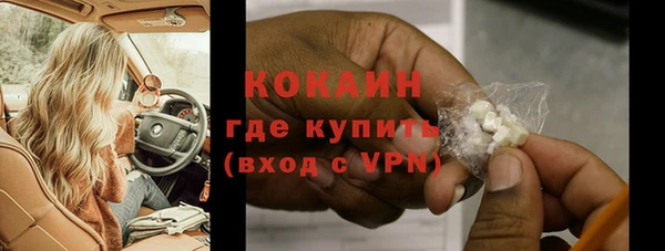 шишки Кодинск