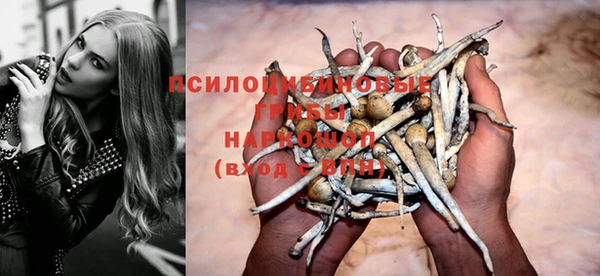 хмурый Козловка