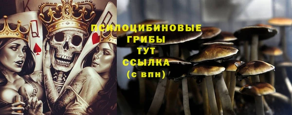 синтетический гашиш Коряжма