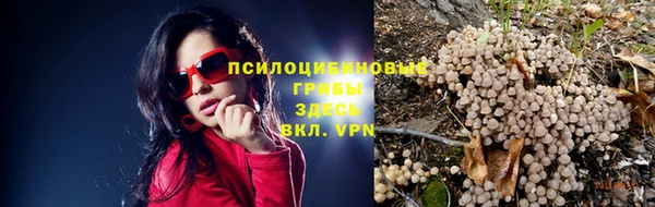 хмурый Козловка