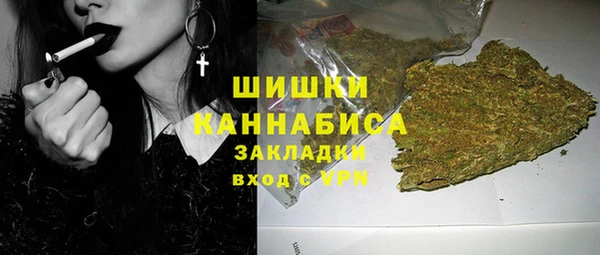 хмурый Козловка