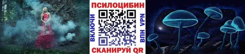 Купить закладки  Екатеринбург  Псилоцибиновые грибы Psilocybine cubensis 